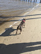 Negocio Orange Beach Waterfront Park