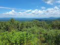Negocio Ouachita National Forest