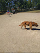 Negocio Outagamie County Dog Park