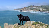 Negocio Pacifica State Beach