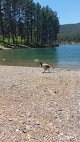 Negocio Pactola Point Swim Beach