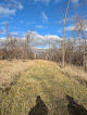 Negocio Palo Marsh Natural Area