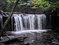Negocio Parque Estatal Ricketts Glen