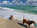 Negocio Parque Haulover