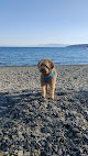 Negocio Patton Beach
