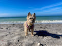 Negocio Paw Park Beach