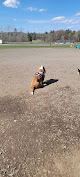 Negocio Pawfoot Dog Park