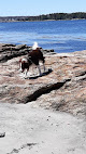 Negocio Pemaquid Beach