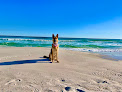Negocio Pensacola Dog Beach West