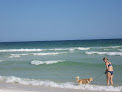 Negocio Pensacola Dog Beach
