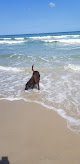 Negocio Pepper Park Beach