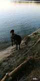 Negocio Pike Lake Beach