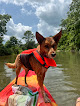 Negocio Pinewood Canoe & Camp Llc