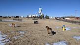 Negocio Pioneer Dog Park