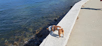 Negocio Playa De La Ciudad