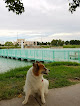 Negocio Playground On The Pecos