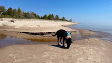 Negocio Point Beach State Forest