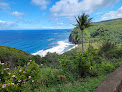 Negocio Pololū Valley Lookout