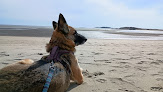 Negocio Popham Beach State Park
