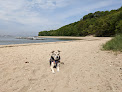 Negocio Port Jefferson Dog Beach