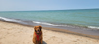 Negocio Porter Beach