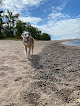 Negocio Presque Isle Beach