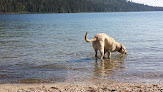 Negocio Priest Lake State Park