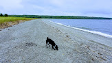 Negocio Prudence Island