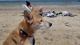 Negocio Public Beach