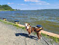 Negocio Quiet Waters Dog Beach
