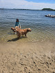 Negocio Quiet Waters Dog Park