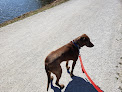 Negocio Raccoon River Park