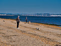 Negocio Raritan Bay Beach