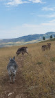 Negocio Red Grade Trails