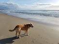 Negocio Rio Del Mar Beach