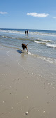 Negocio Rockaway Beach