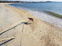 Negocio Rocky Neck State Park