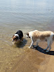 Negocio Rocky Point Recreation Area