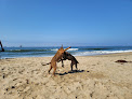 Negocio Rosie's Dog Beach