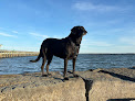 Negocio Rye Playland Beach