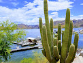 Negocio Saguaro Del Norte Recreation Site