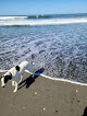 Negocio Samoa Beach