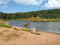 Negocio San Gregorio Lake Trail