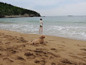 Negocio Sand Beach