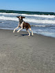 Negocio Sandy Beach