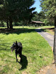 Negocio Sandy Paws Dog Park
