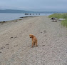 Negocio Sandy Point Beach