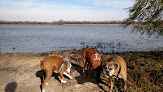 Negocio Santa Fe Lake