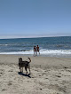 Negocio Seabright Beach