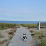 Negocio Seabrook Dunes And Beach